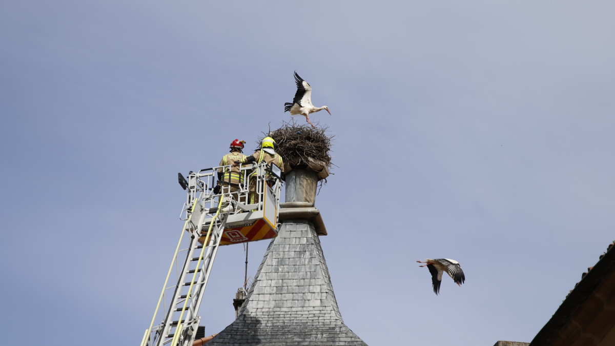 Los bomberos de Soria trabajan en el nido de las cigüeñas del Palacio del Marqués de Alcántara.