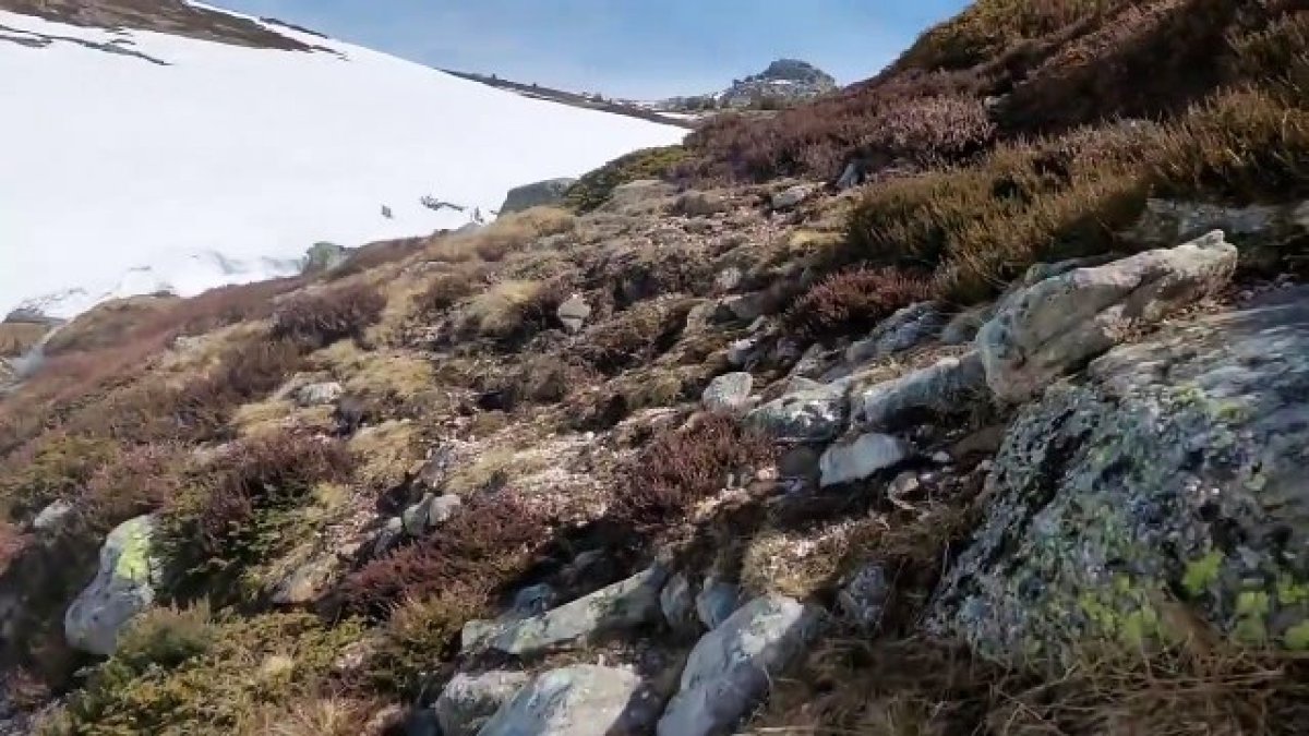 Las nevadas caídas en las pasadas semanas y la subida de las temperaturas ha dejado el nacimiento del Duero espectacular. El responsable de la estación Meteoclimatic de Duruelo de la Sierra y divulgador meteorológico Agustín Sandoval capta en este vídeo la belleza de Urbión. Un caudal mayor (y más 'vivo') que el habitual que serpentea montaña abajo. Desde allí hay casi 900 kilómetros a Oporto con mucha vida regada por el camino.