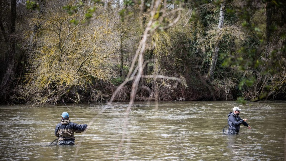 Un pescador durante una de las ediciones del Campano Soriano.