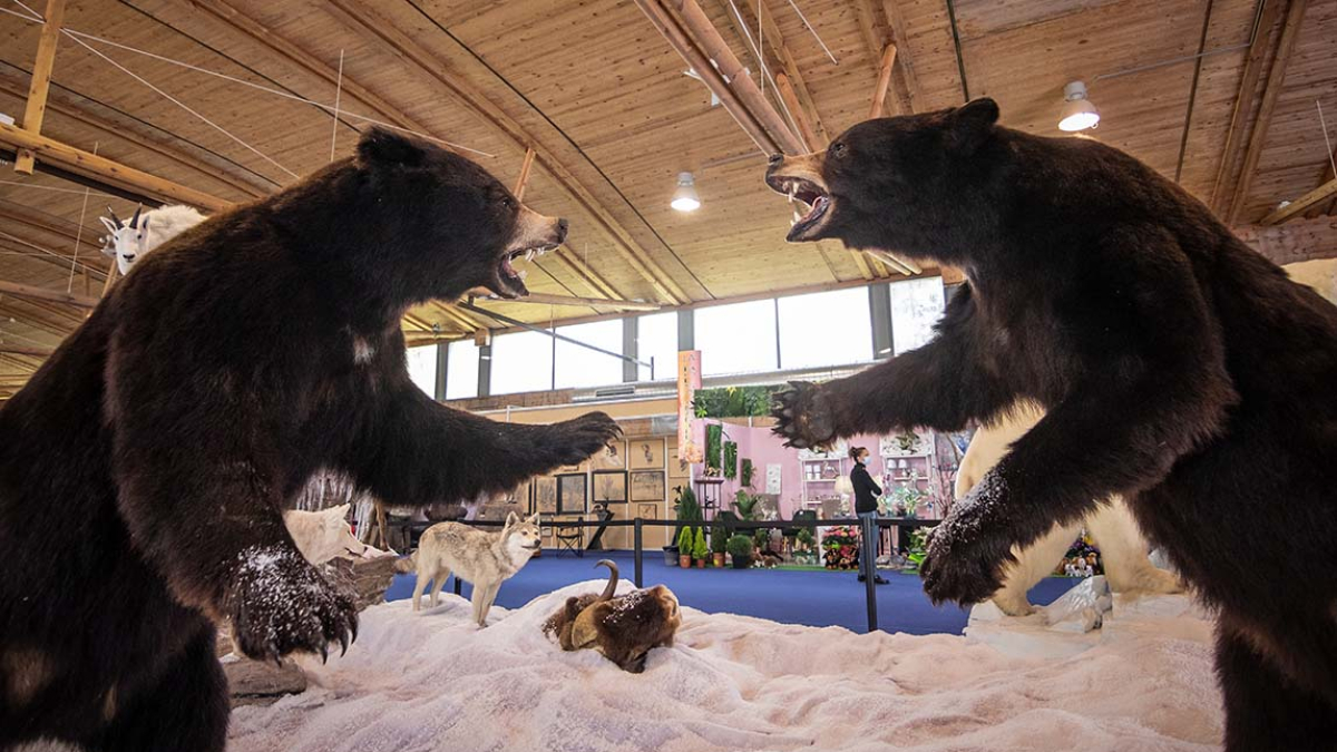 Uno de los stands de la edición de la feria de caza de 2023.