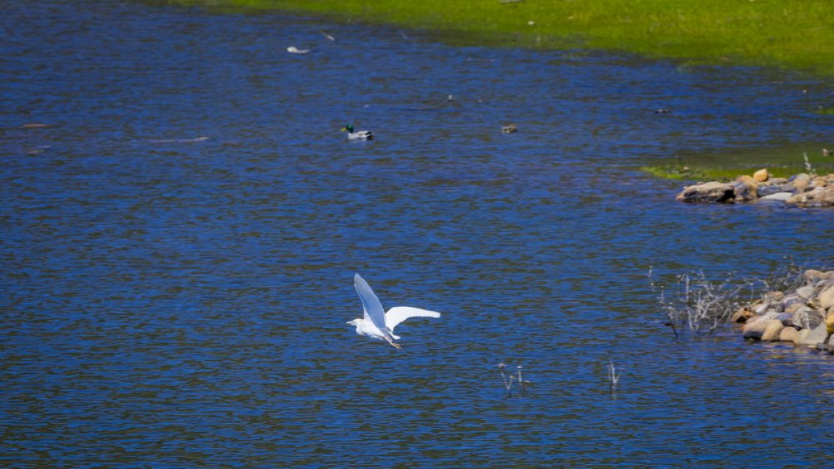 Un pantano pletórico asegura las reservas hídricas
