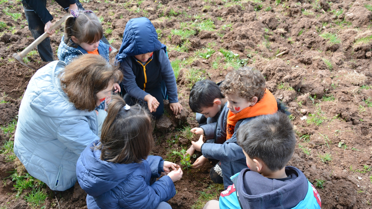 Los escolares plantando los árboles.