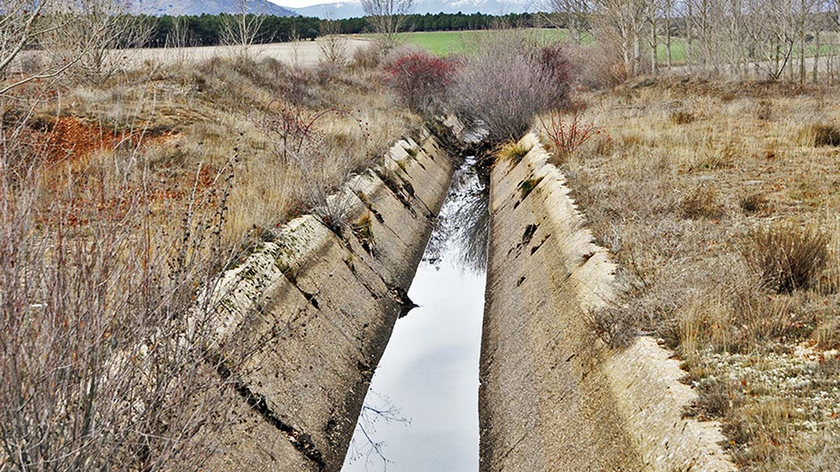 Campillo de Buitrago