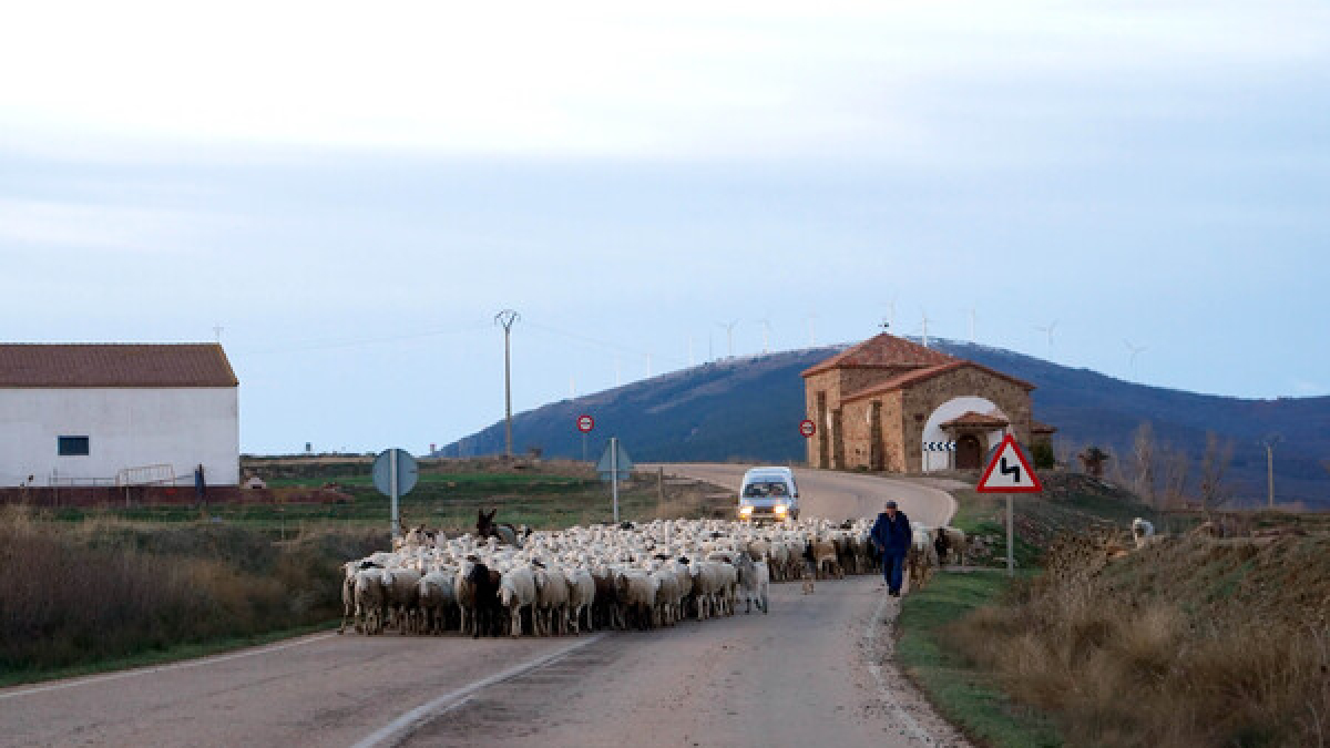 El Defensor del Pueblo dice que los cajeros han de ser servicios esenciales en los pueblos.