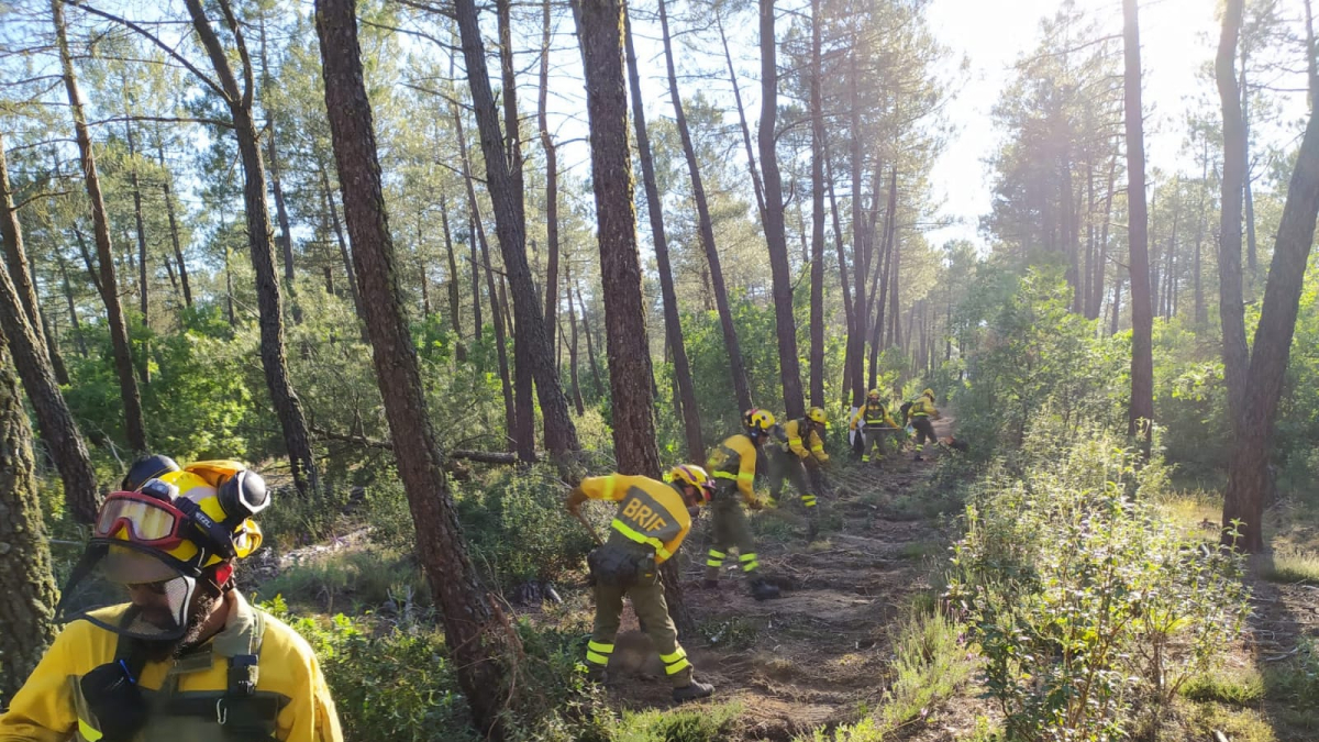 La BRIF de Lubia practica la apertura de una línea de defensa.
