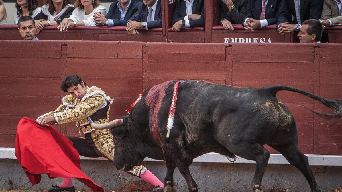 Cayetano, en el coso de San Benito en unos pasados sanjuanes.