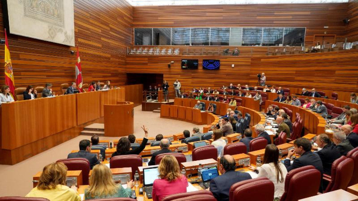 Pleno de las Cortes celebrado en la mañana de este miércoles 22 de mayo.