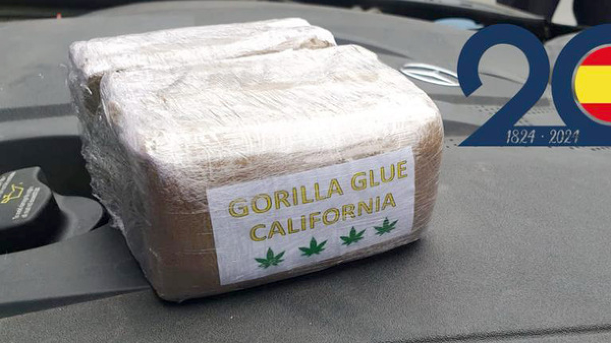 Placas de hachís incautadas por la Policía en Castilla y León a finales de 2023.