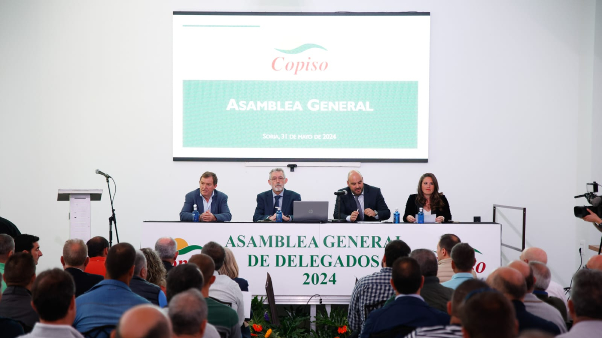 Asamblea general de Copiso.