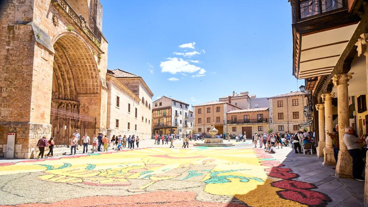 El Burgo de Osma volvió a vivir un Corpus Christi lleno de color y fervor con sus tradicionales alfombras florales.