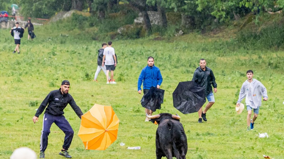 Lavalenguas de las fiestas de San Juan en una imagen de archivo.
