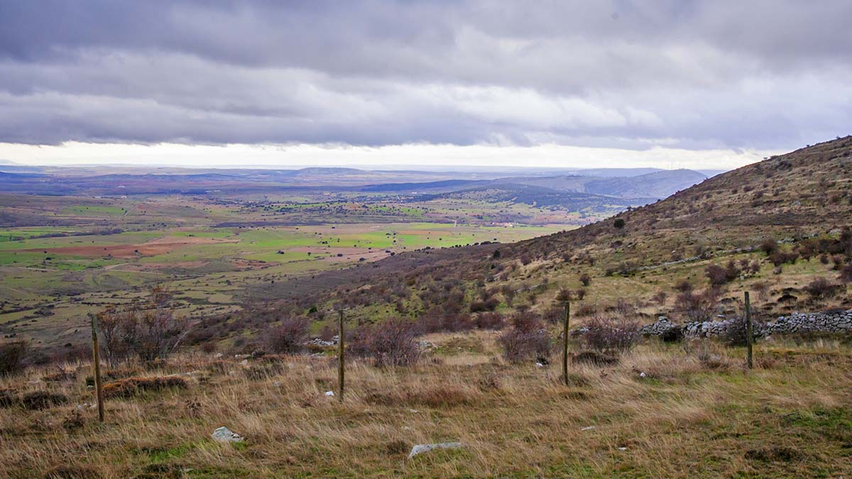 Parcela junto a un monte de Soria.