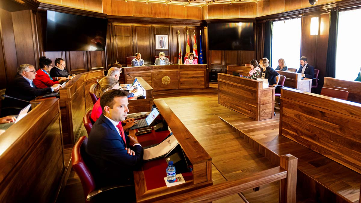 Un momento del pleno. - MARIO TEJEDOR