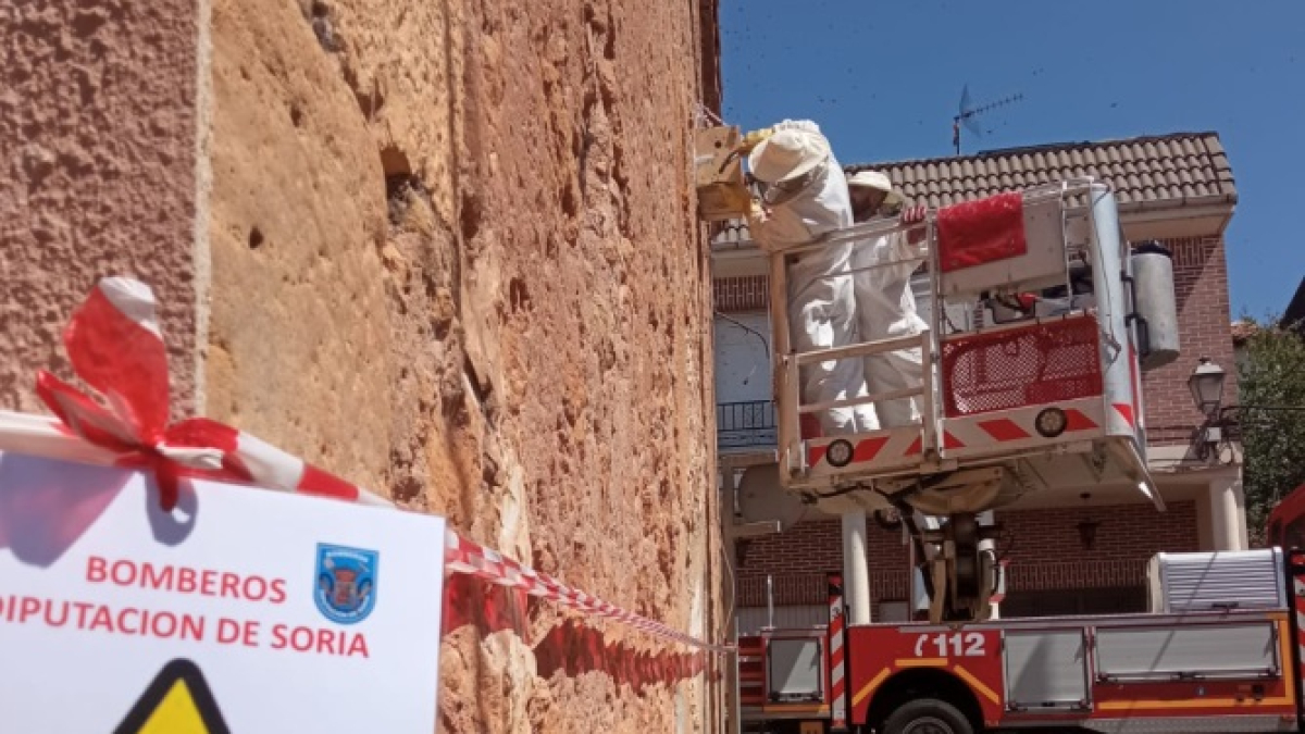 Bomberos de la Diputación retiran un enjambre en Osma el pasado verano.