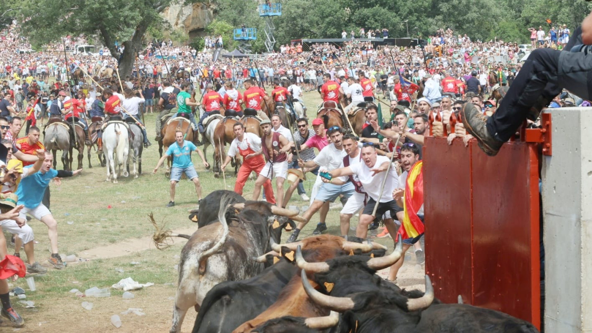 Salida de los toros de los corrales a las 12 horas del día de la Saca.