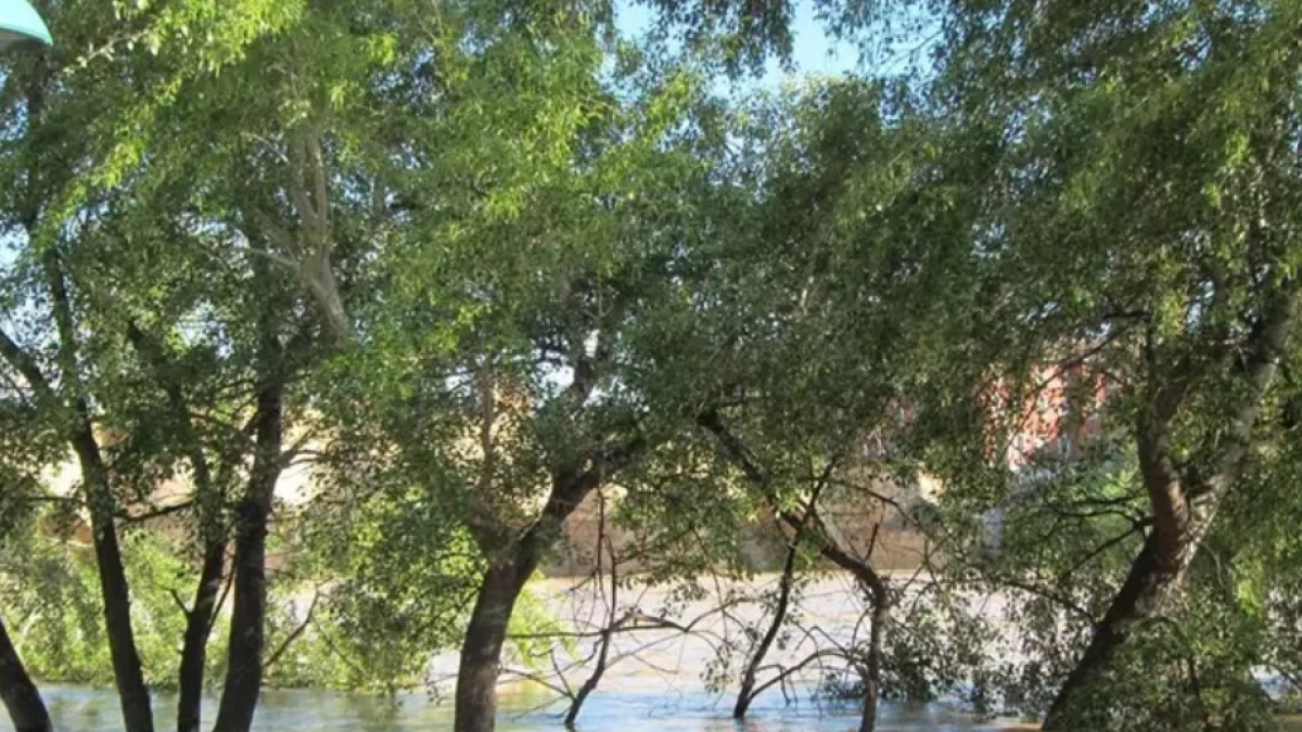 Crecida de un río en imagen de archivo.