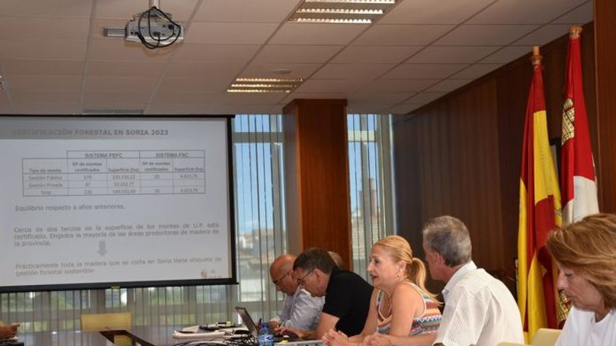 La Comisión Territorial de Mejoras de Soria reunida este jueves.