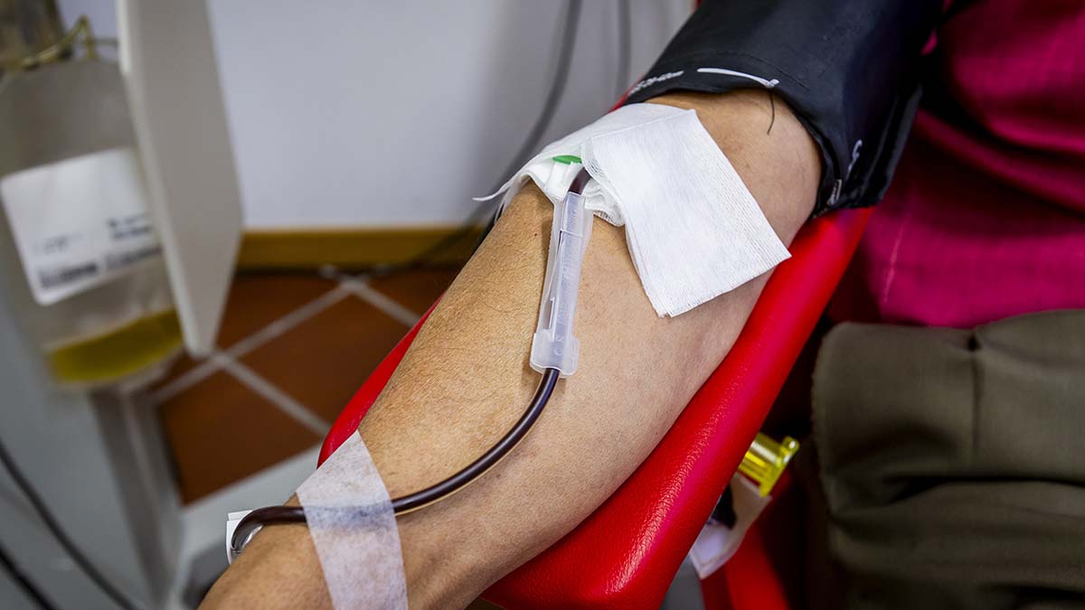 Donaciones de sangre.