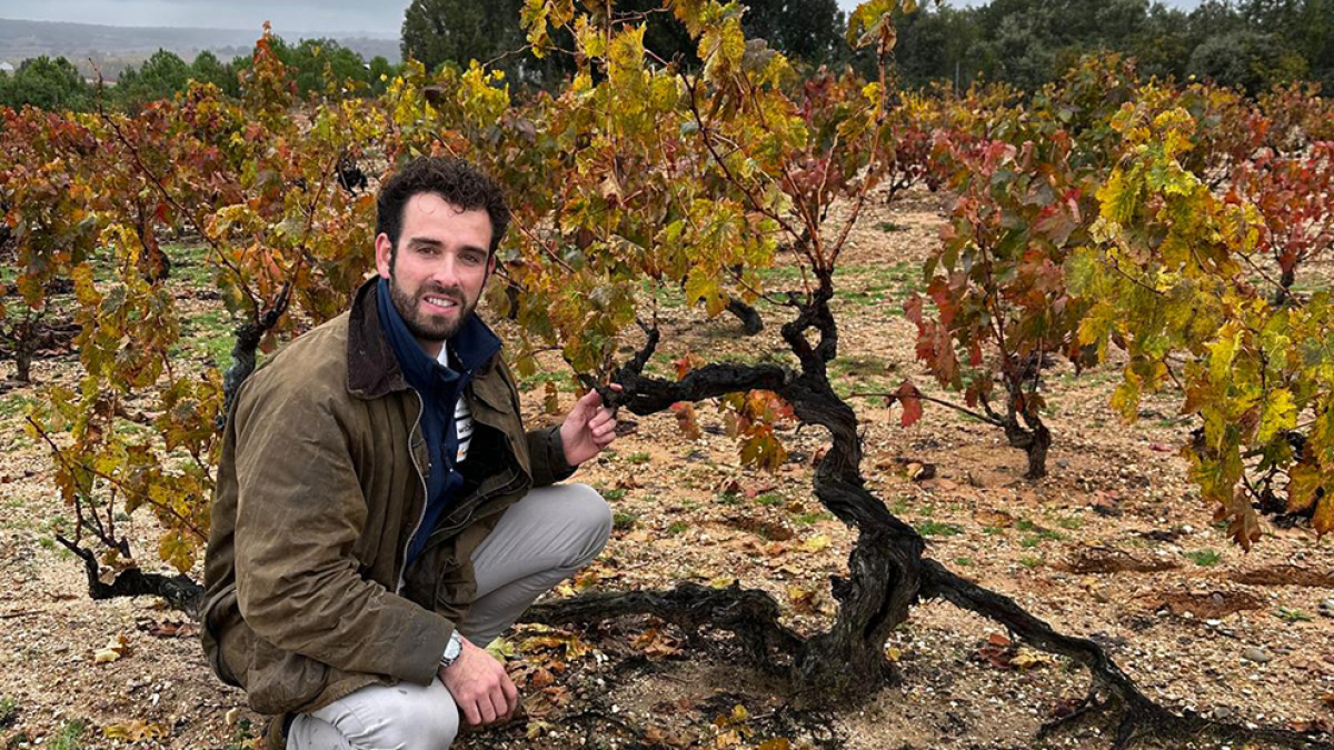 Antonio Serrano en los viñedos que posee en Villálvaro (Soria).