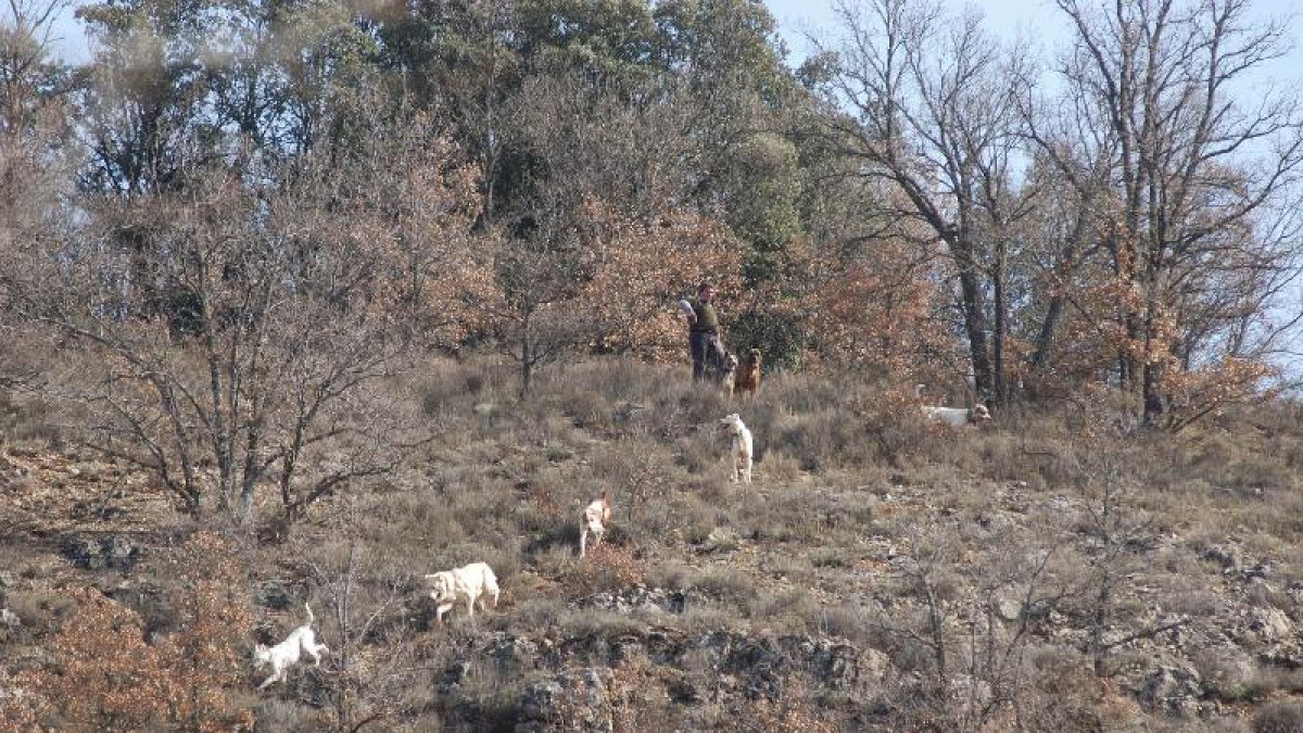 Imagen de archivo de una cacería en Soria.