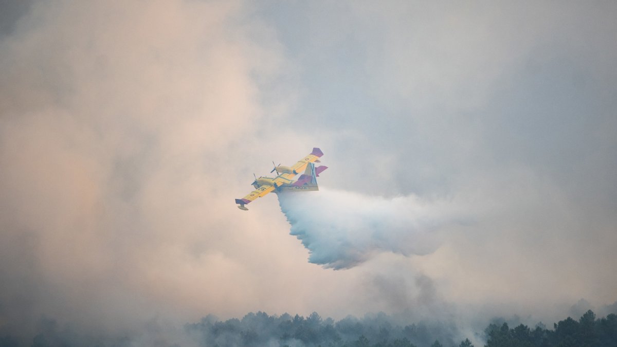 Varios efectivos aéreos actúan durante un incendio forestal, a 17 de agosto de 2024, en Trabazos, Zamora, Castilla y León (España).