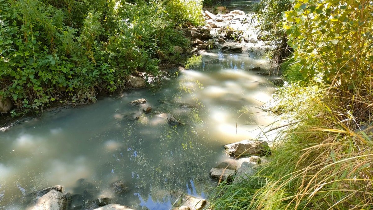 Estado del río Linares en la imagen facilitada por el grupo ecologista.