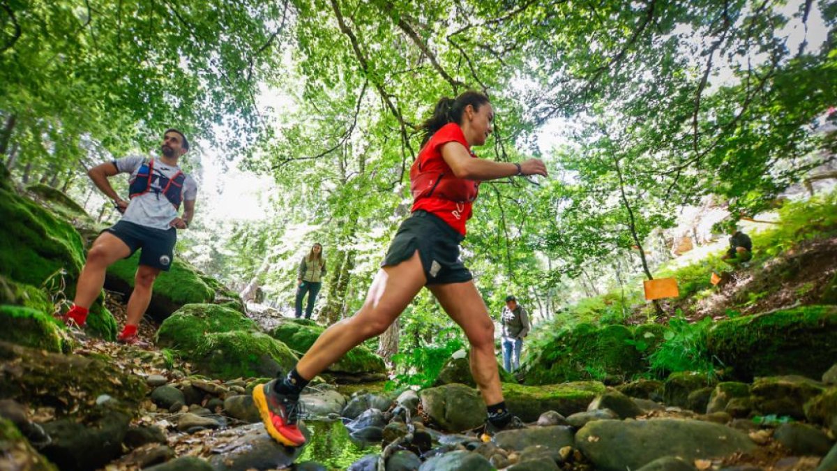 Los atletas cerraron este domingo el Mundial de Skyrunning de Soria con un recorrido de 37 kilómetros por algunos de los bosques más bellos de España.