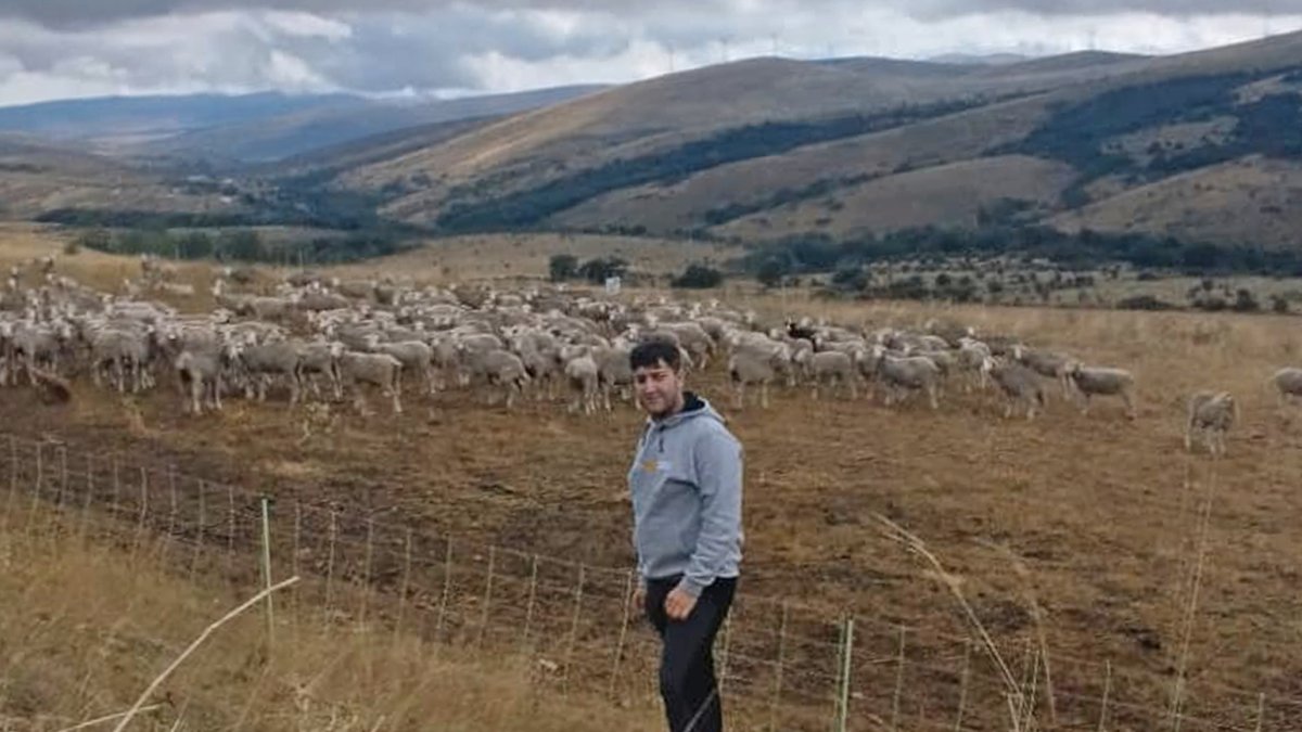 El contacto con los animales permite un rápido aprendizaje.