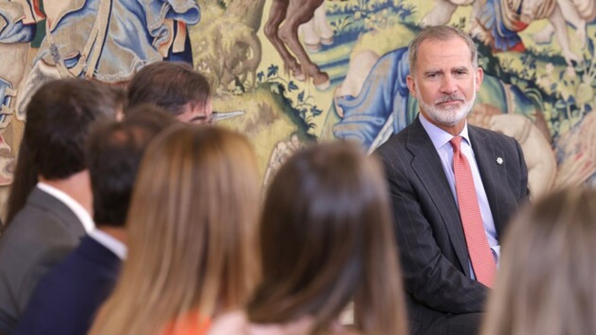 El Rey Felipe VI durante una audiencia.