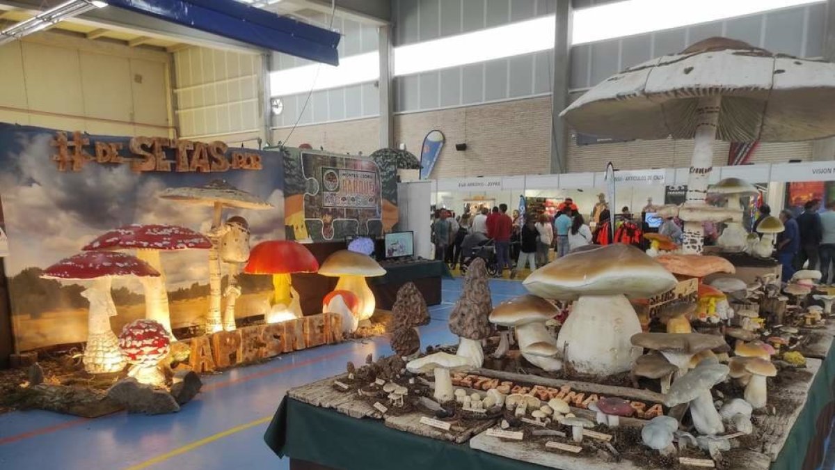 El Parque Micológico Montes de Soria, presente en NATURCYL, la Feria Internacional de Ecoturismo .