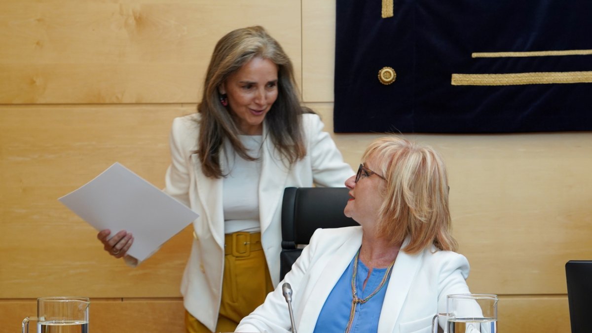 La consejera de Industria, Comercio y Empleo de la Junta, Leticia García, comparece ante la Comisión de Industria, Comercio y Empleo de las Cortes de Castilla y León para informar de su programa de actuaciones.