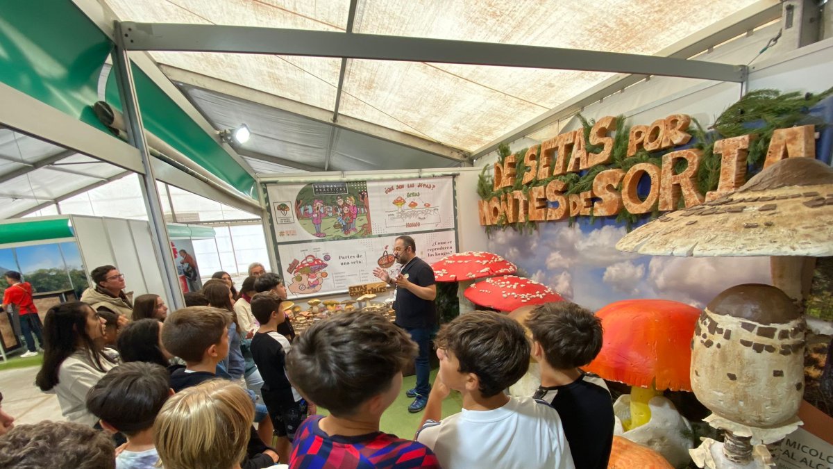 Imagen de asistentes a las actividades de la primera jornada.