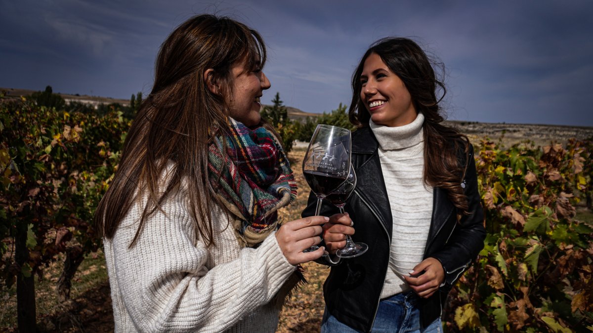 Experiencias inmersivas durante la vendimia en la Ribera del Duero.
