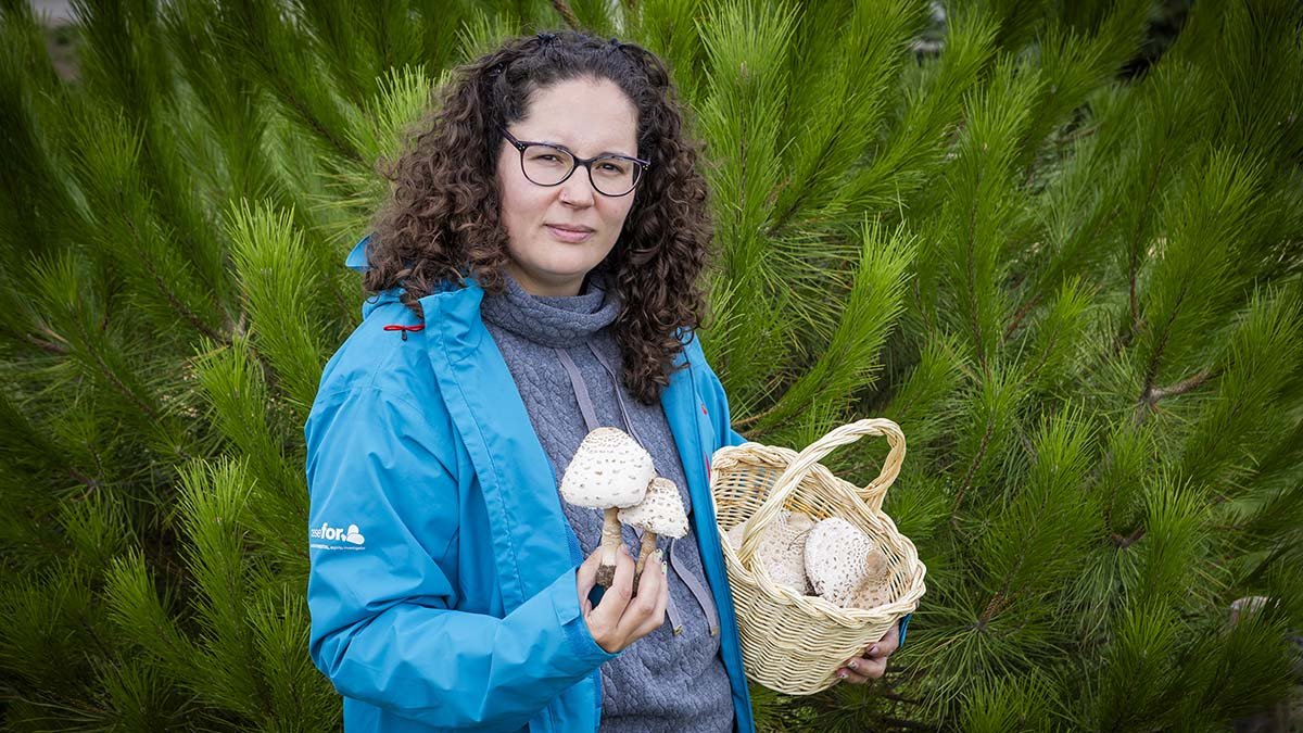 Raquel Martínez, investigadora del Cesefor de Soria.