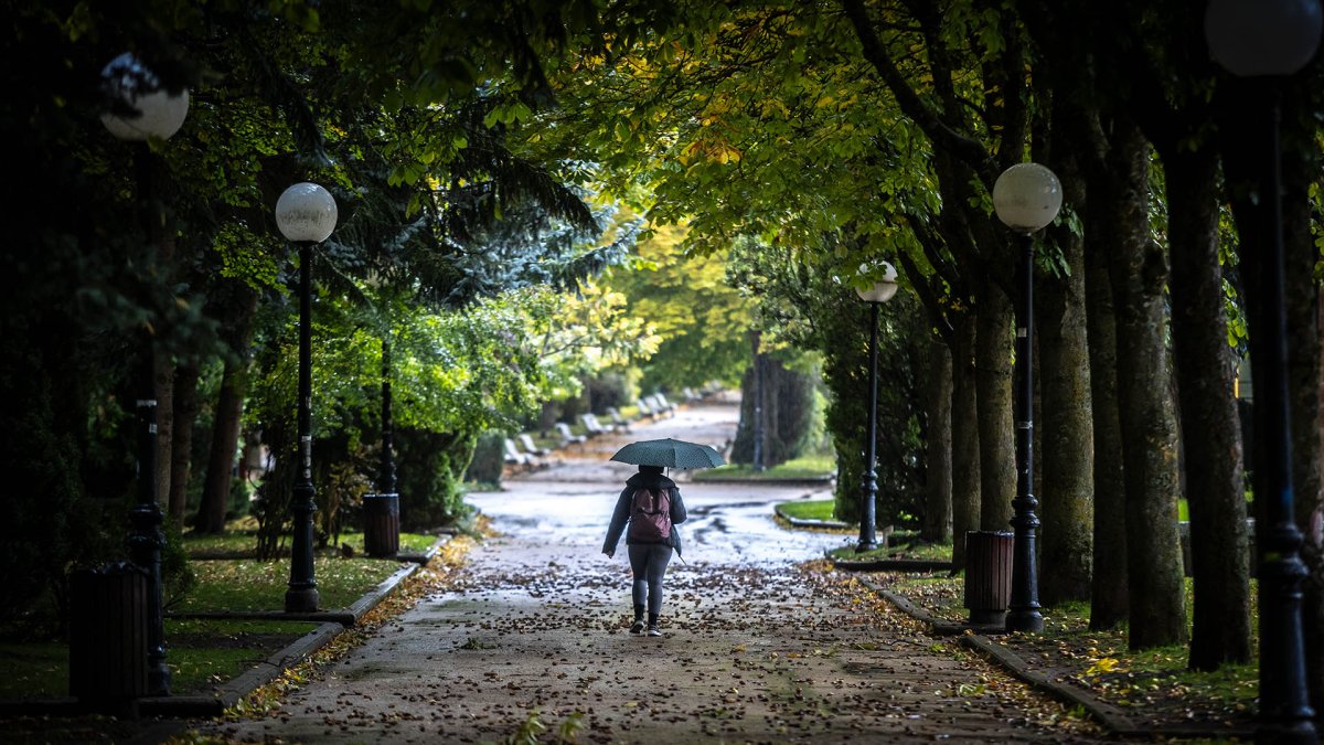 Una persona camina por la Dehesa en un día de lluvia.