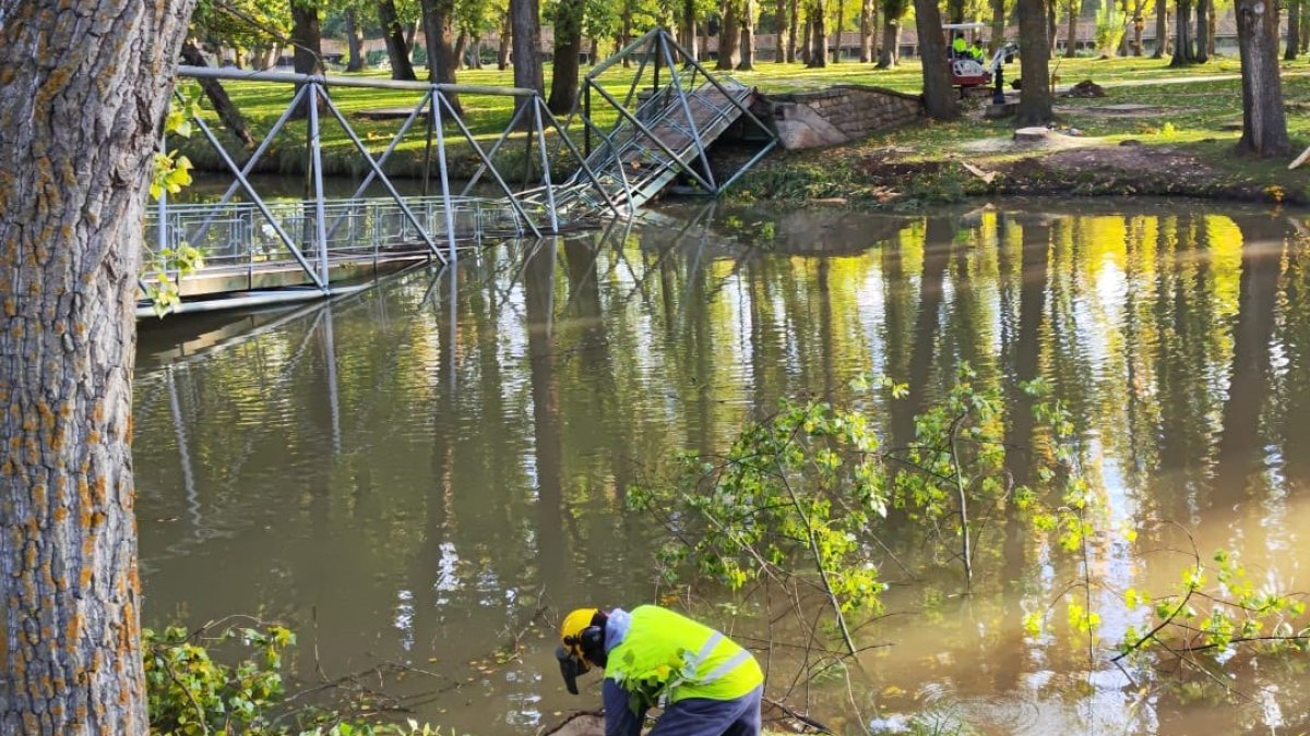 Un operario interviene en la zona afectada por el viento de la borrasca Kirk y la caída de un árbol.