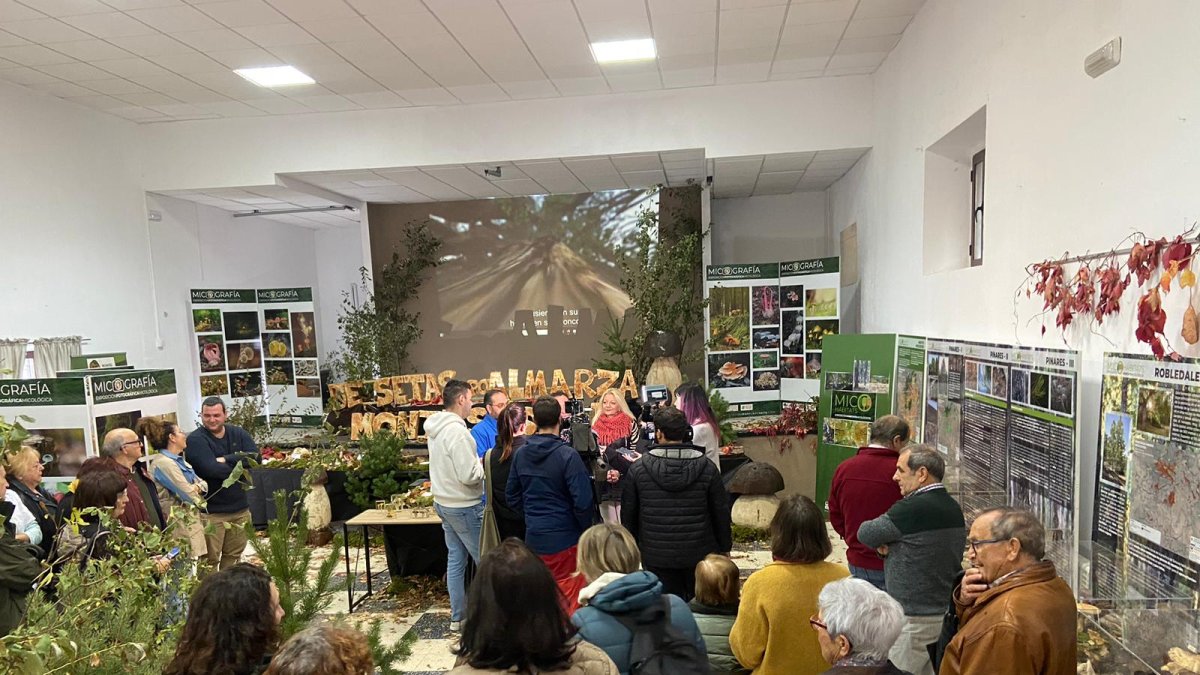 Estreno de la exposición MICOhábitats en Almarza.