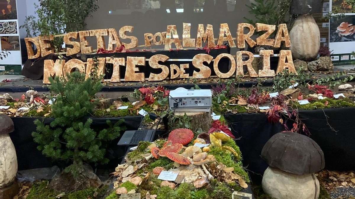 Estreno de la exposición MICOhábitats en Almarza.