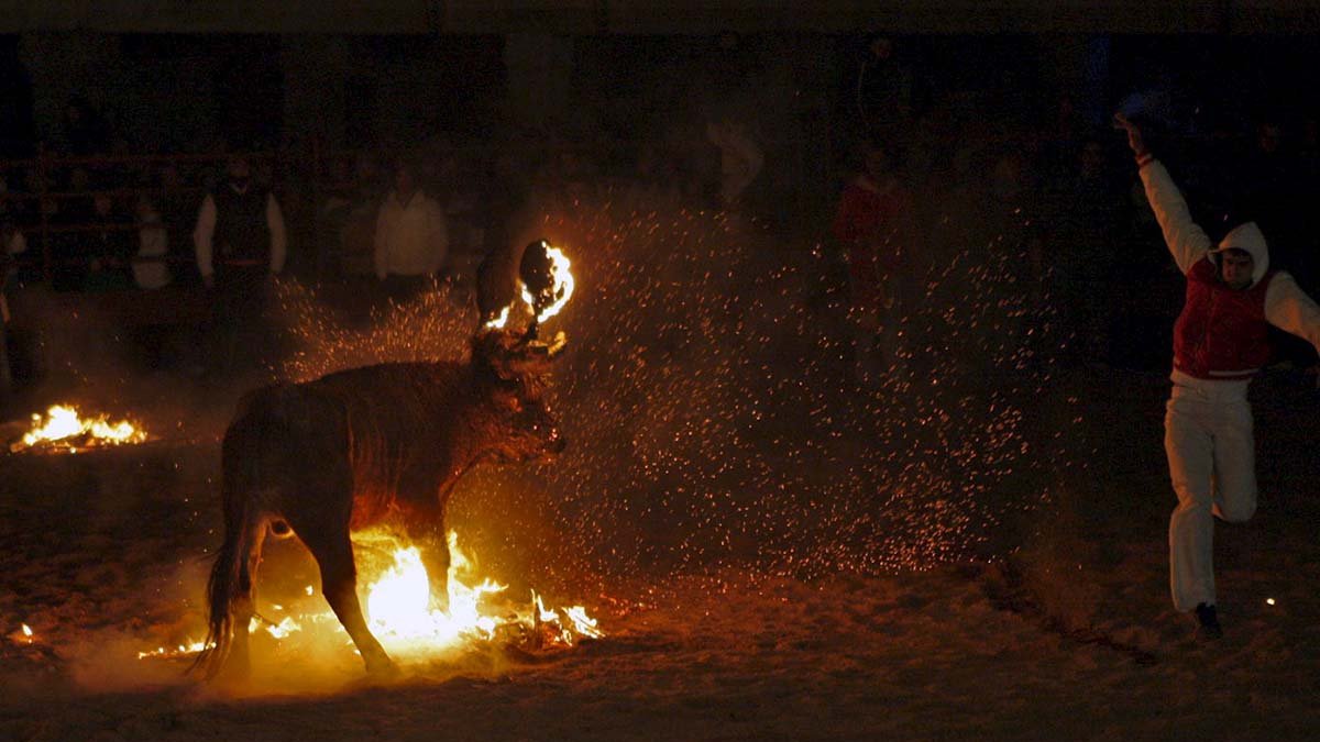Imagen del Toro Jubilo.