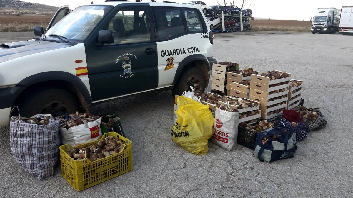 Vehículo de la Guardia Civil con producto inmovilizado.