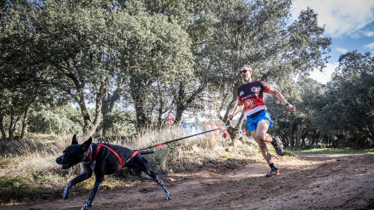 La Airon Dog Race comenzó con una gran nivel de los mushers sorianos.