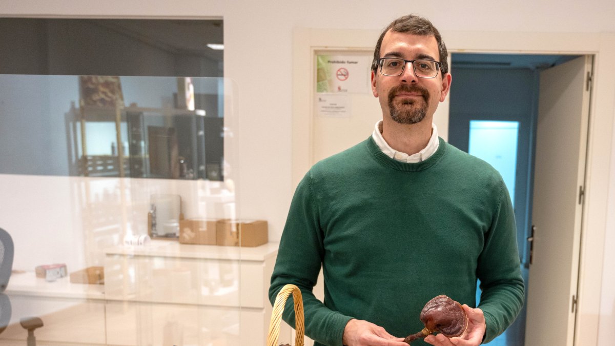 Raúl Fraile, especialista en hongos medicinales, divulgador micológico y gerente de MundoReishi.