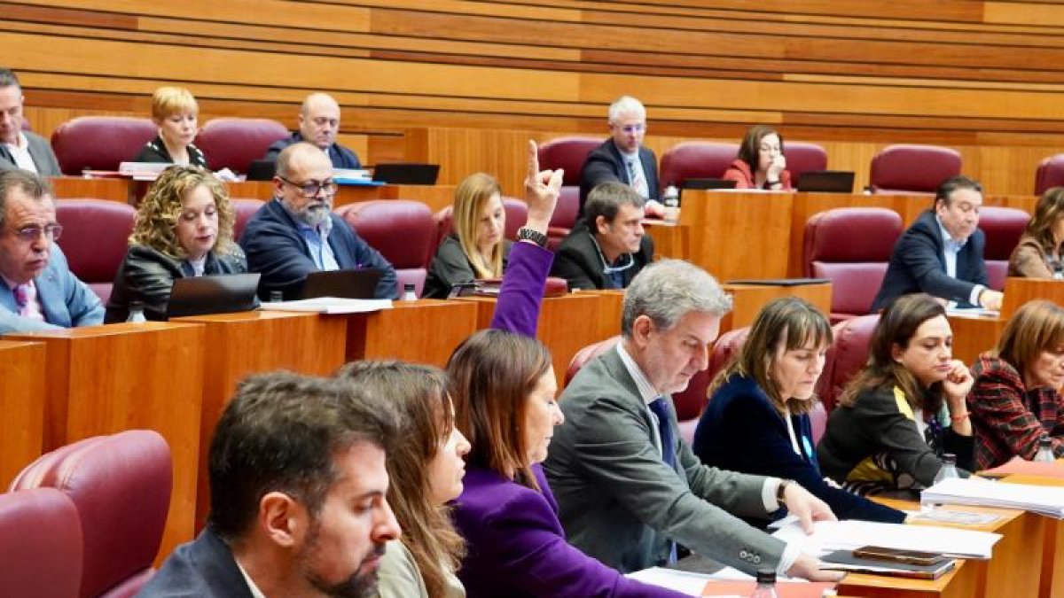 Votación en el pleno de las Cortes.