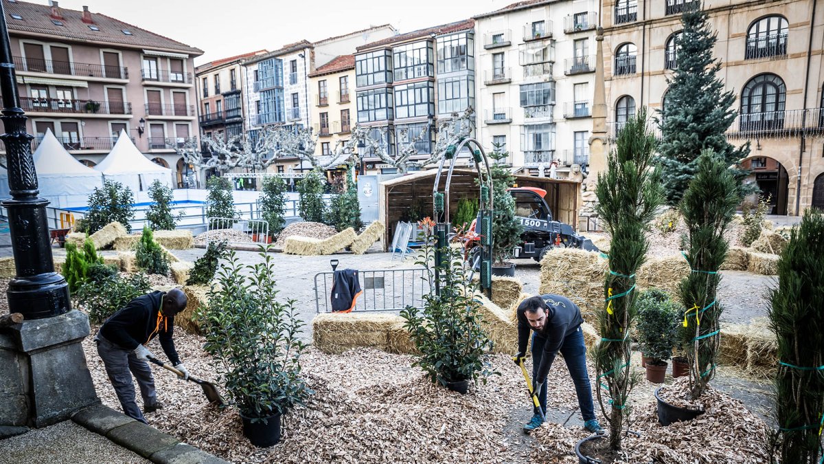 Comienza el montaje del Belén navideño en la plaza Mayor.