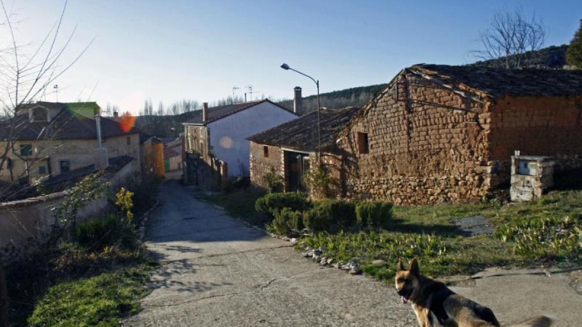 Imagen de archivo de Andaluz.