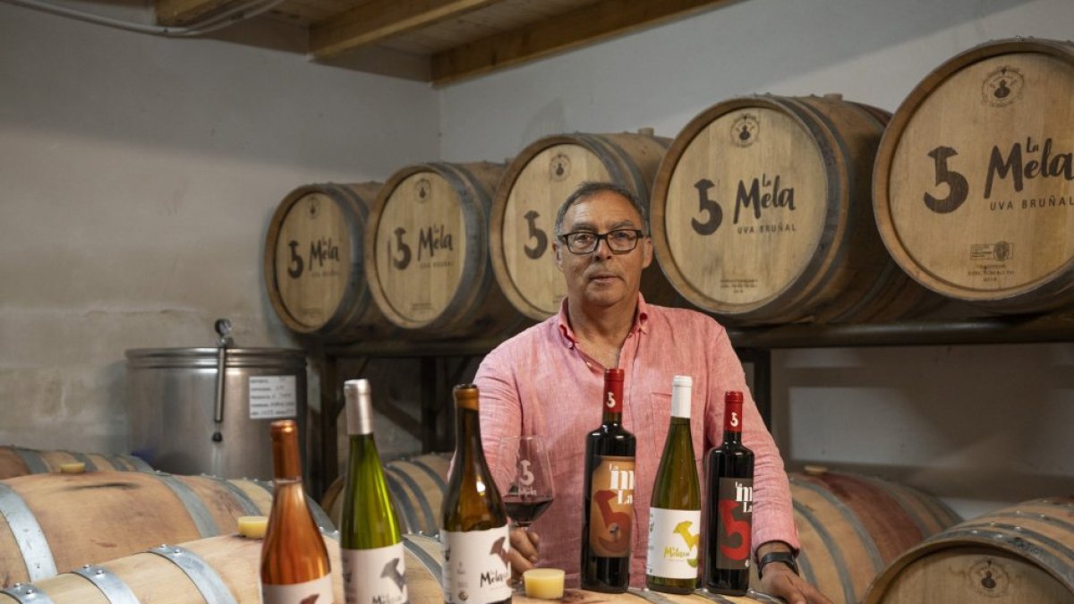 Benjamín García posa con sus vinos en la sala de barricas de Bodegas La Mela.