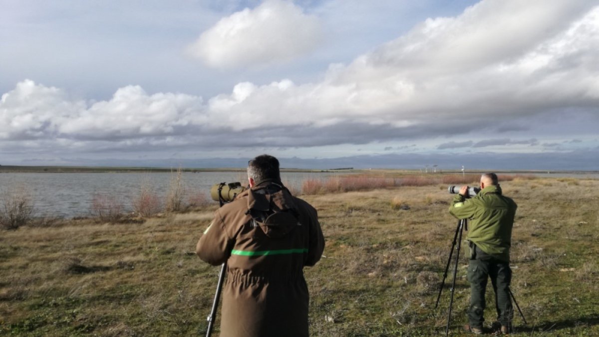 Agentes medioambientales durante la realización de un censo.