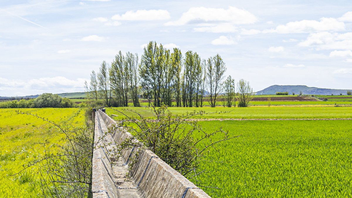 La modernización de Campillo de Buitrago sigue pendiente décadas después.
