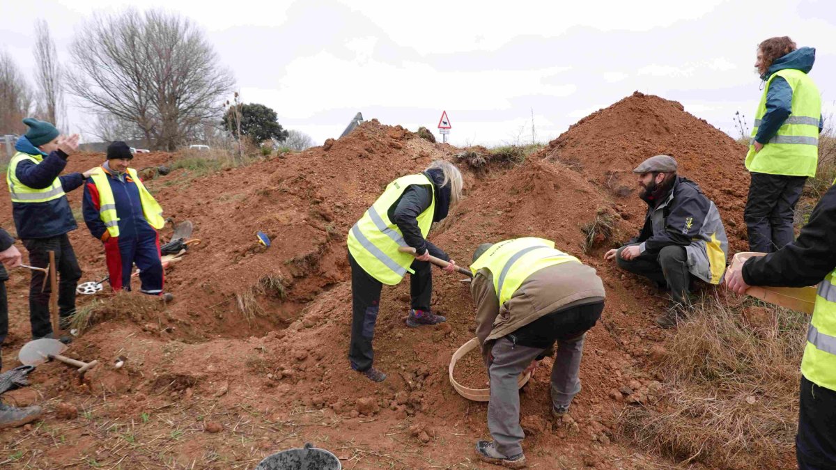 Trabajos de excavación en la fosa común.