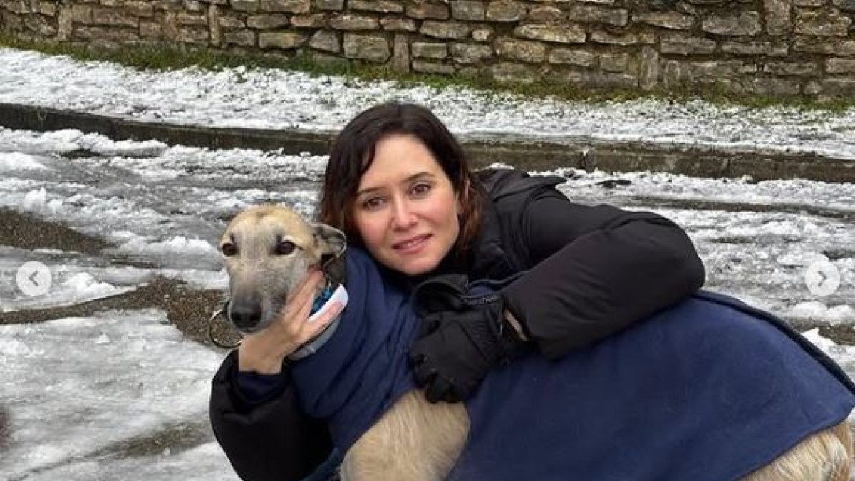 Imagen colgada por la presidenta madrileña en su Instagram.